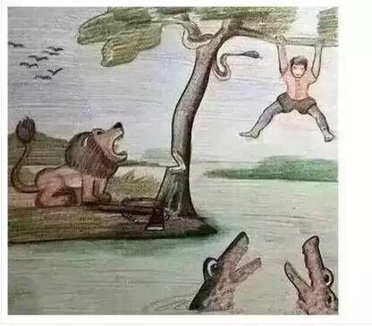 从一张图看今年柔性电路板的生意