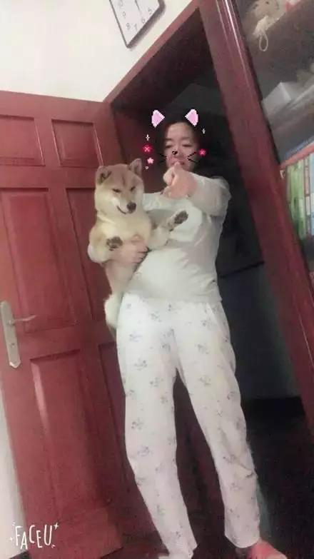 软板厂之爸妈，我真的是你们亲生的吗？