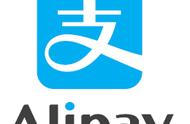FPC厂的支付宝最终会国有化吗？