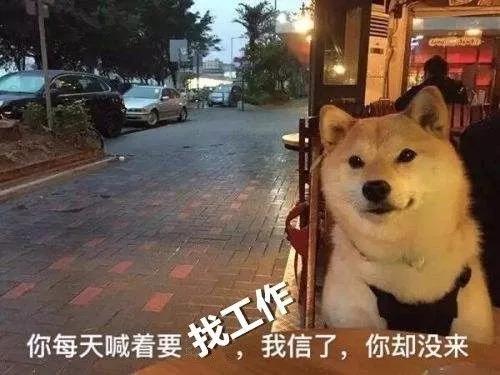 招聘 | 这是一道送钱题，有胆你就来！